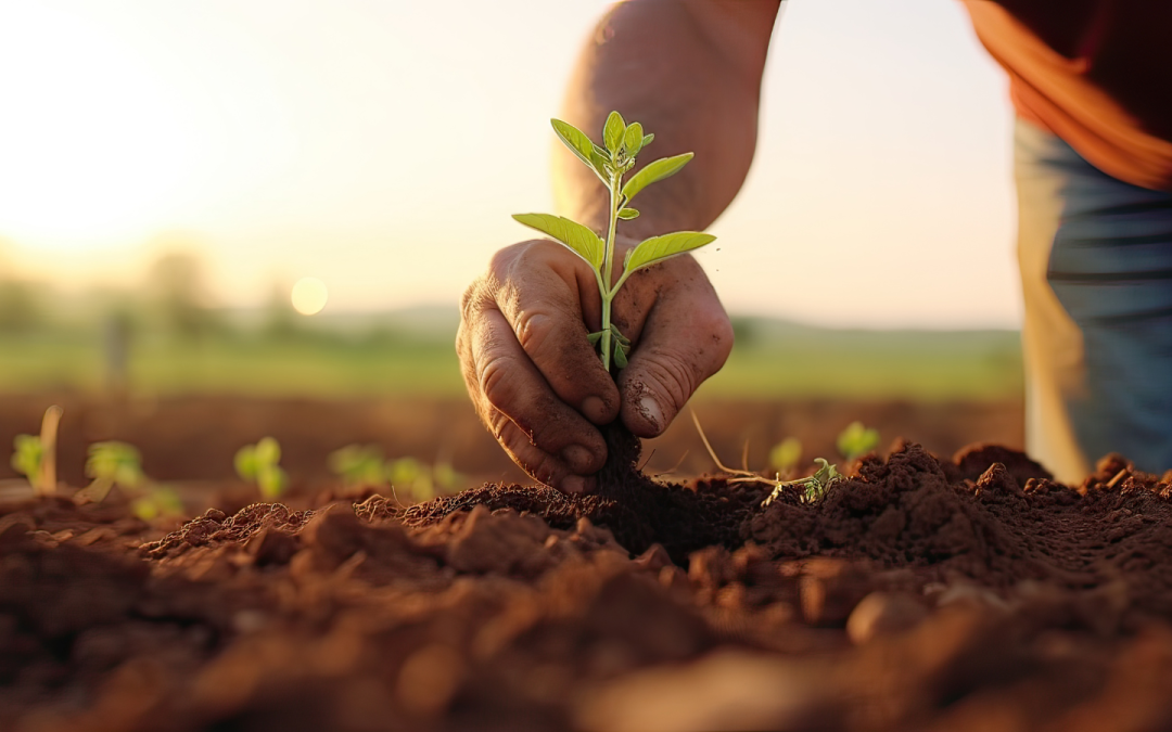 Onderzoek: Inspanning duurzaamheid boeren valt in goede aarde